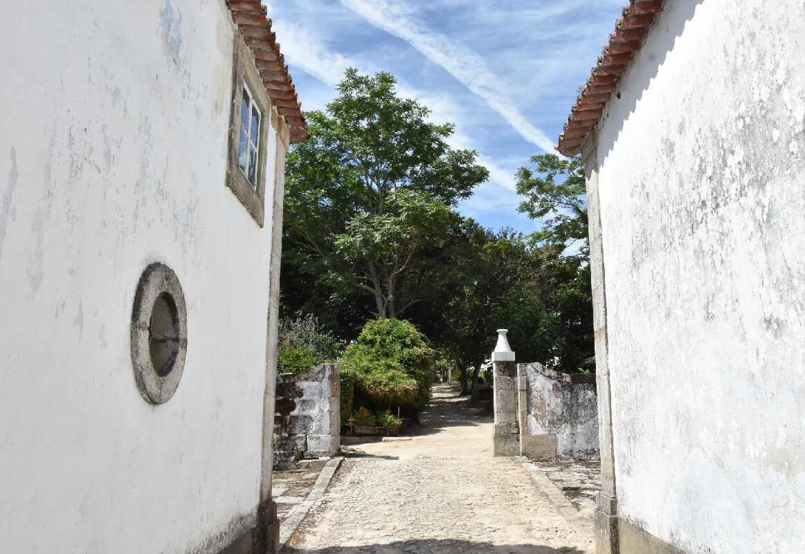 Galeriafidalgas 11