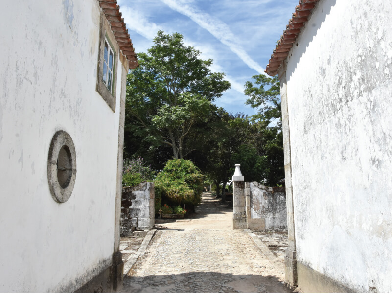 GALERIA SANTAR Casas 13